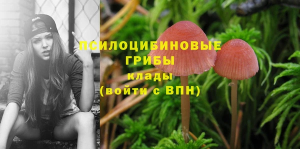 ГАЛЛЮЦИНОГЕННЫЕ ГРИБЫ Алексеевка